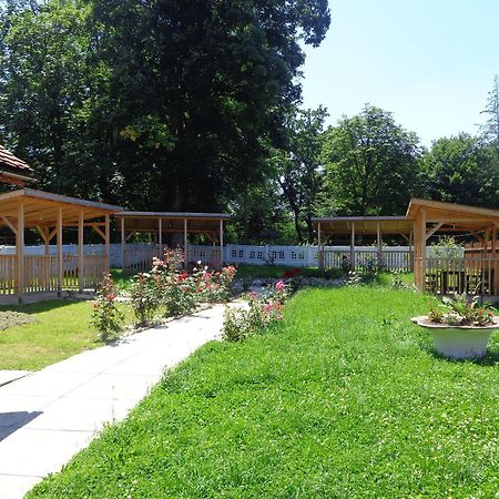 Pensiunea Radu Cisnădie Habitación foto